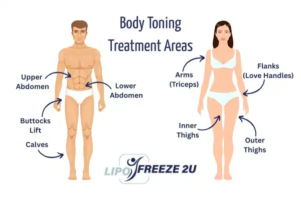 Graphic showing where you can have Body toning Treatment Rushden on your body